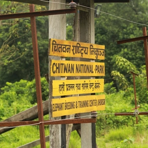 Elephant Breeding Center Chitwan National Park