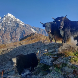 Mardi Himal Trekking photo by Sanjay Hona
