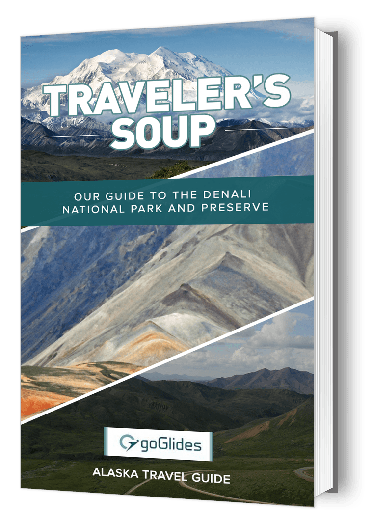 Denali National Park Travel Guide